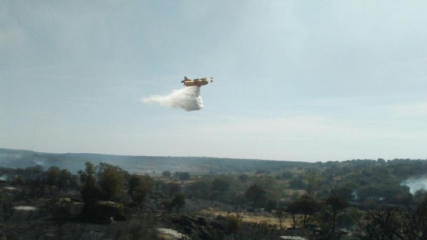 Un avión actúa en la zona