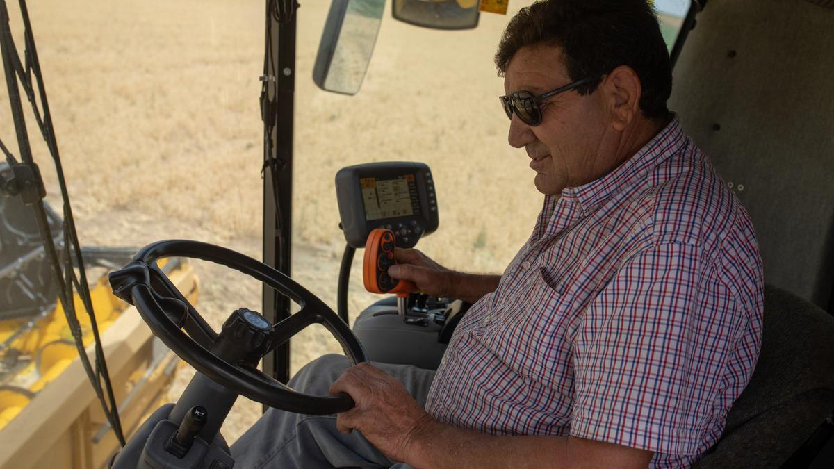 Cele Hilario cosechando en La Guareña