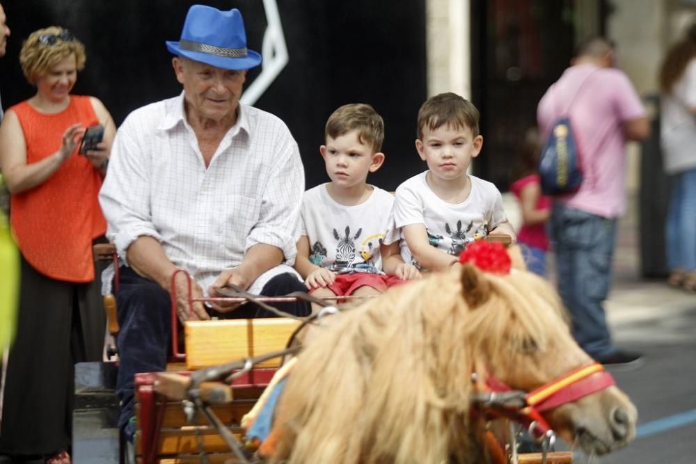 Día del Caballo en Alfonso X