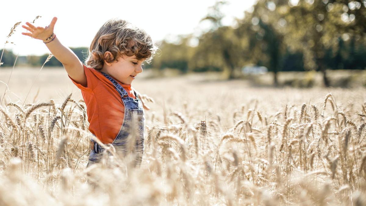 Es importante desarrollar nuestra inteligencia emocional para que nuestros hijos puedan desarrollar su capacidad emocional