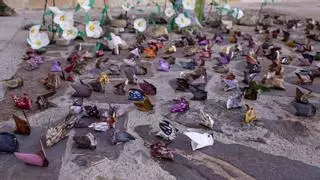 La ciudad monumental de Cáceres se llena de aves