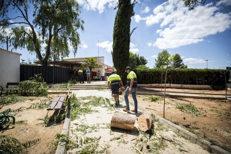 Efectos de la tormenta en Longares