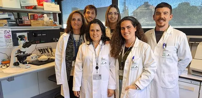 Una nueva técnica del Imibic evitará los trasplantes de córnea