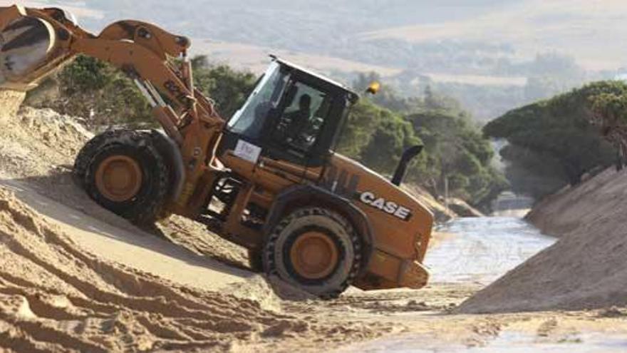 Una excavadora retira arena de la playa de Valdevaqueros.