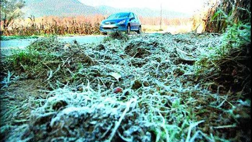 garrotxa. La carretera de les Preses va despertar-se ahir amb rastres de glaçada.