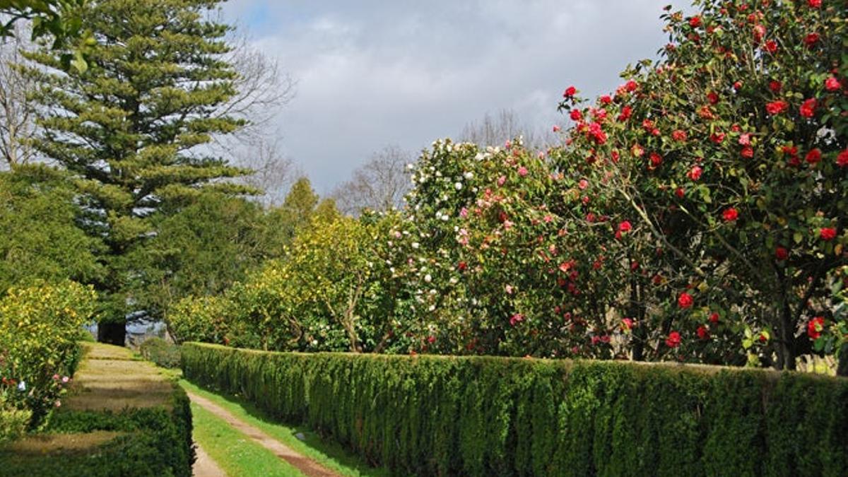 Guía de la Ruta de las Camelias - Viajar