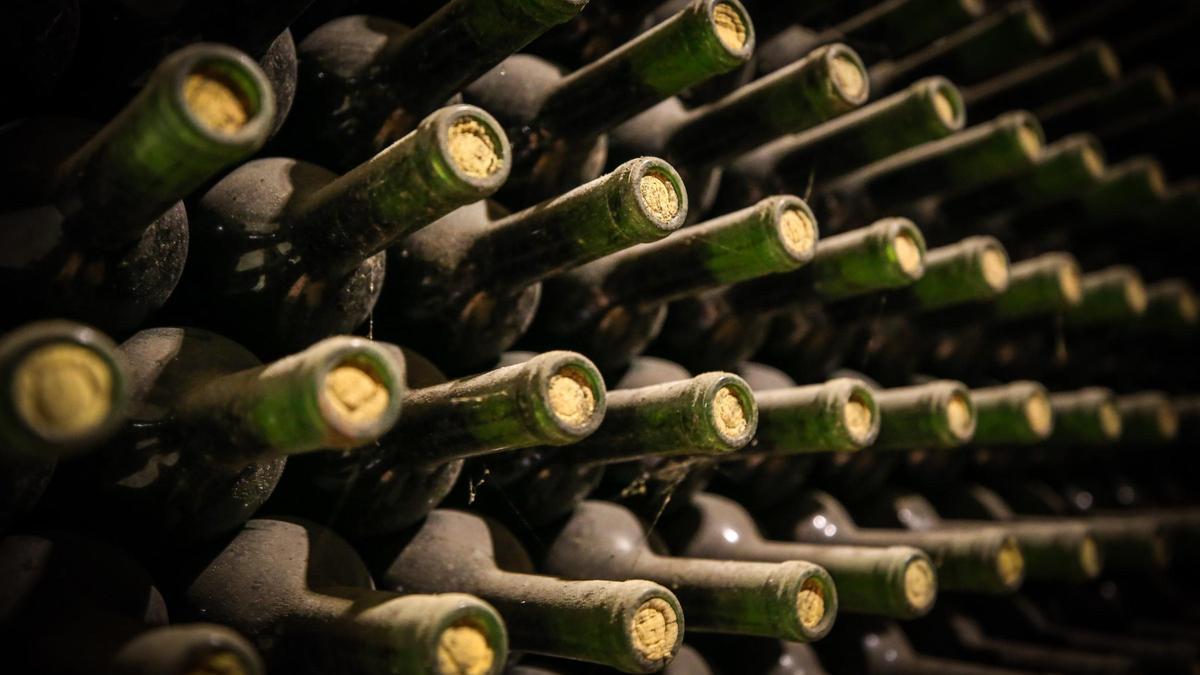 El sector del vino europeo califica de "duro golpe" el arancel del 20% anunciado por Trump