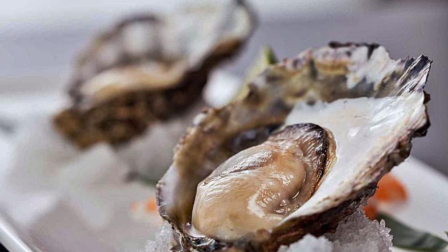 Seis variedades de ostras para los más sibaritas. | 