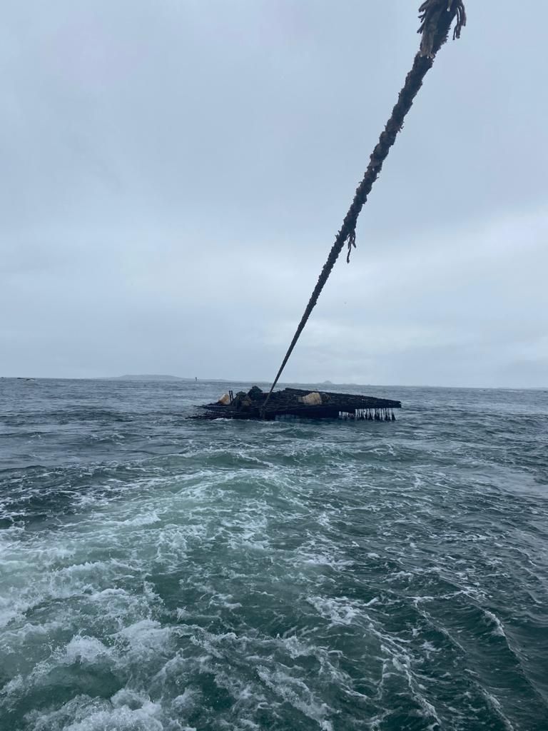 Momento en que el remolcador “Insuíña Rande” arrastra hacia tierra firme una de las bateas afectadas por los últimos temporales.
