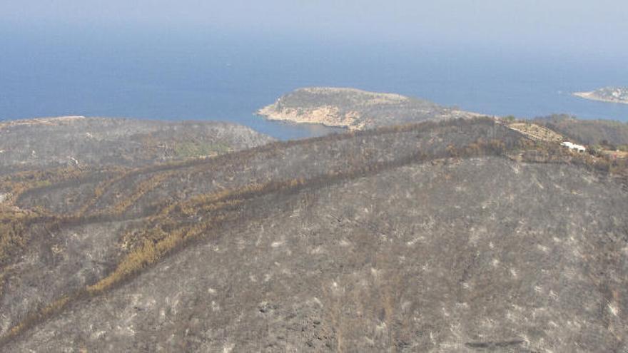 Estado en que quedaron los montes entre Benirràs y Cala Xarraca tras el incendio de 2010. Hoy está en fase de recuperación.