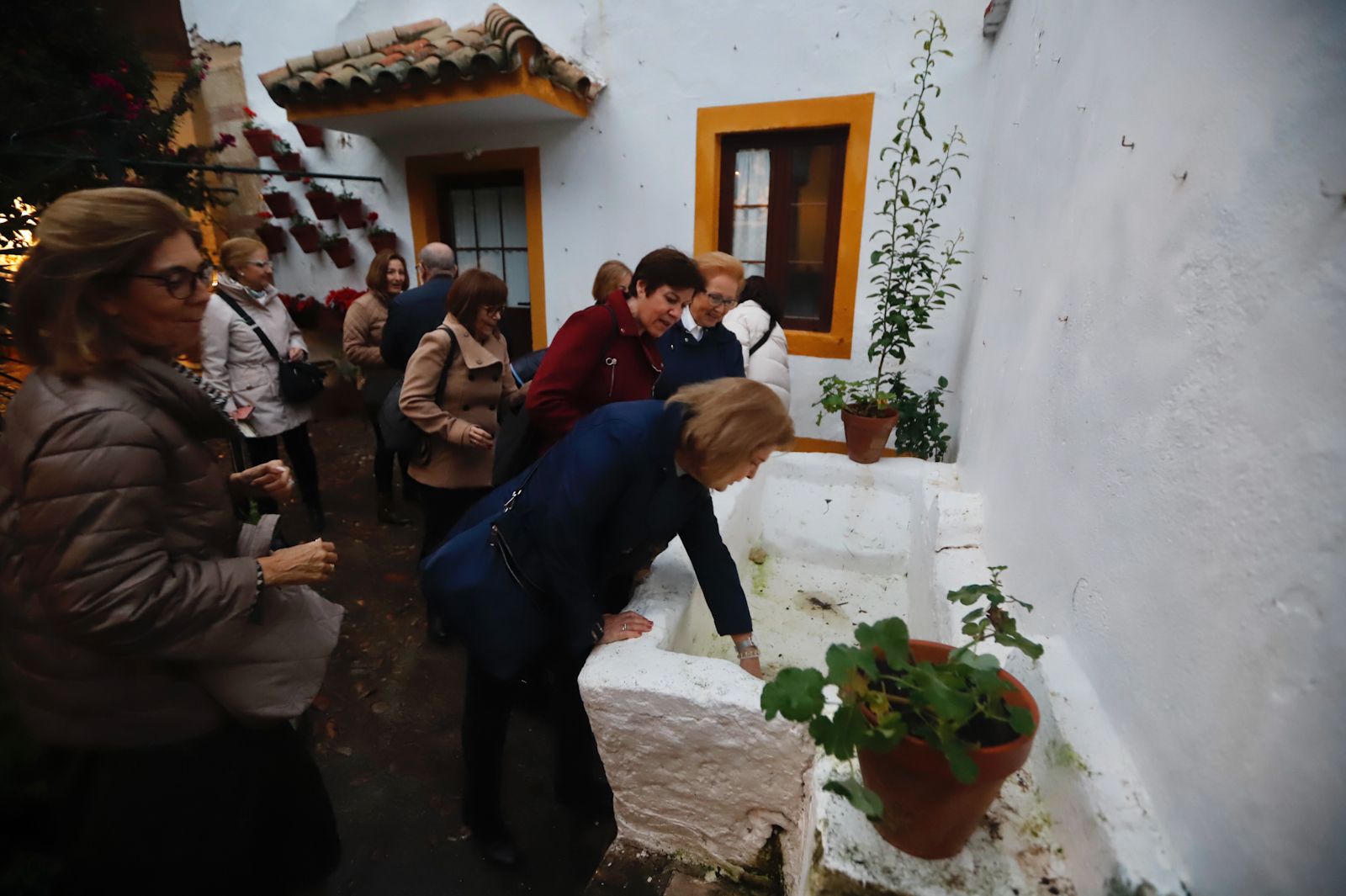 Los patios abren por Navidad pese a la lluvia