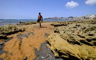 Las capas fósiles de Las Canteras, al descubierto
