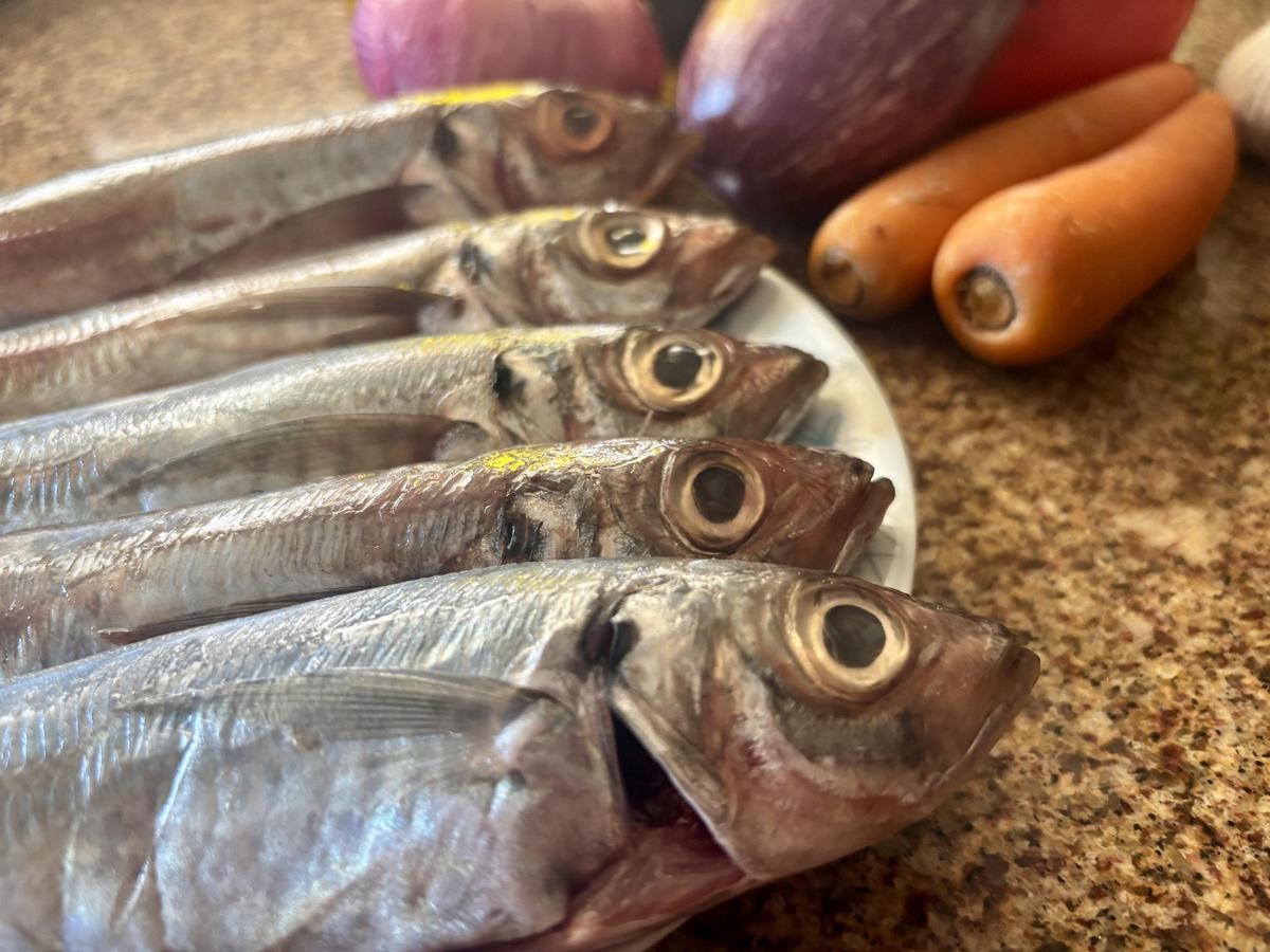 Los 'sorells' recién salidos de la pescadería.
