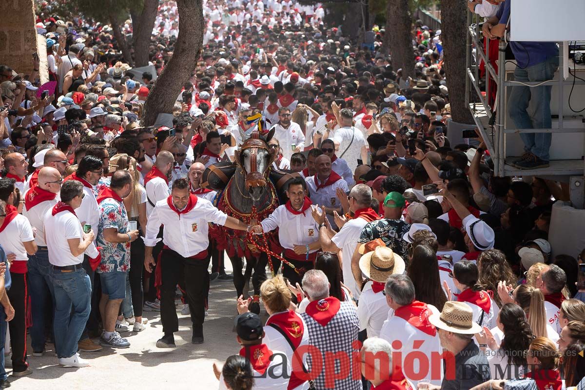 Así ha sido la carrera de los Caballos del Vino en Caravaca