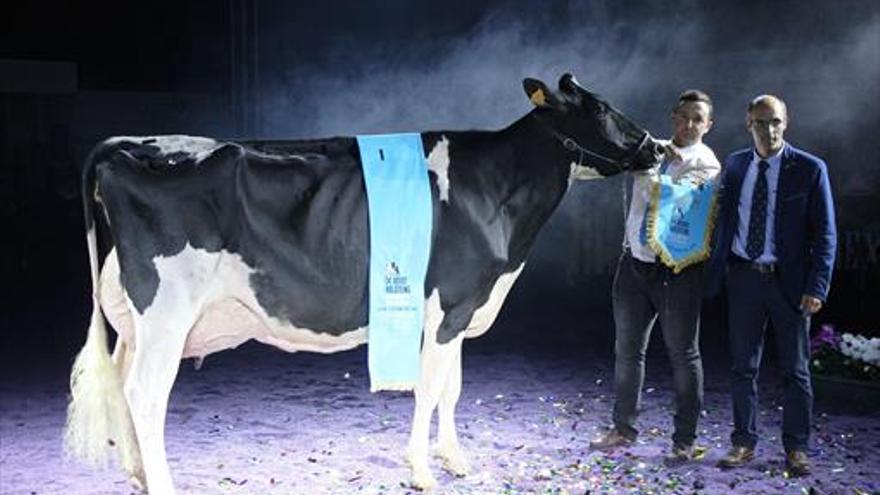 Una vaca de la ganadería Loma La Copada es elegida gran campeona