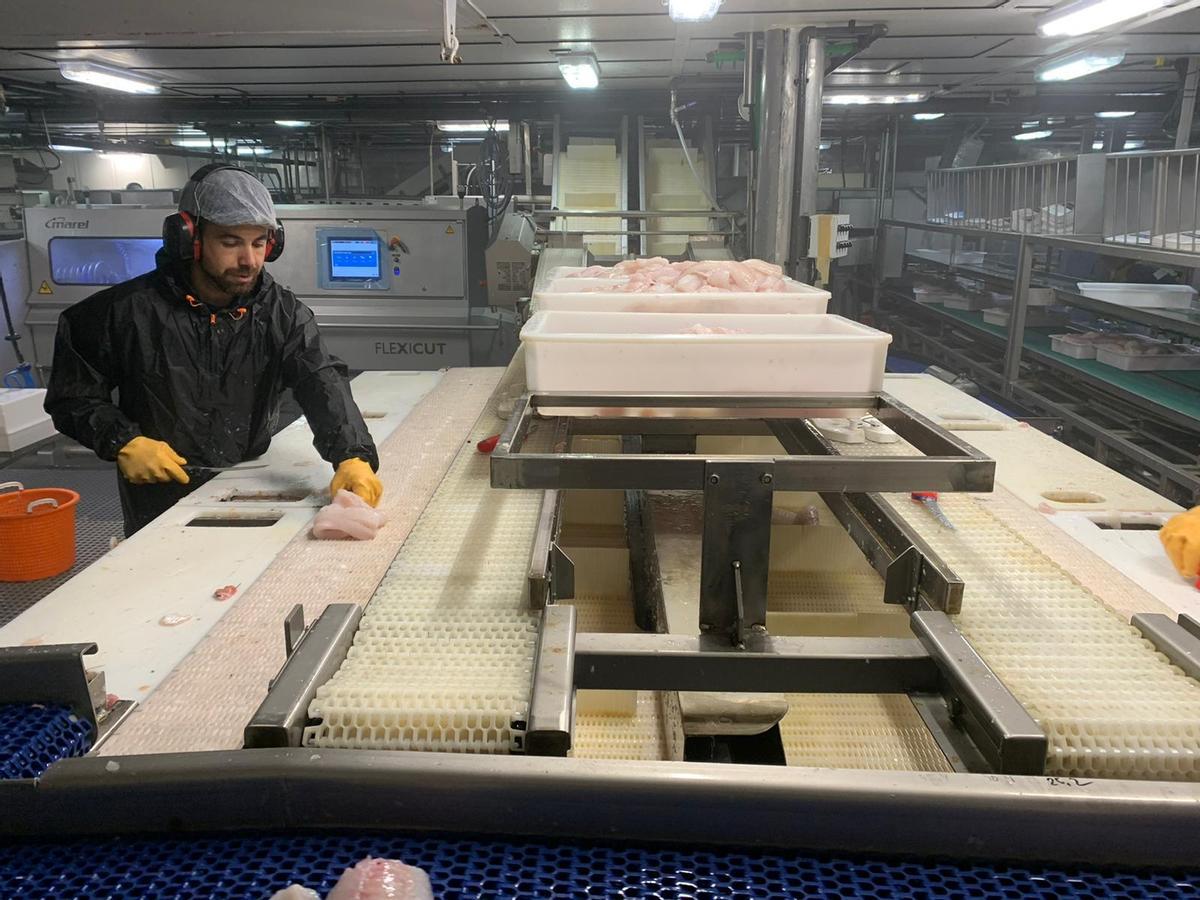 Trabajador a bordo del “Lodairo” tratando el producto pescado