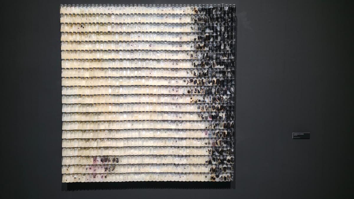 El ‘Esbozo de la espora’,  de Paula Ciani, obra ganadora del Creamurcia de Artes Visuales