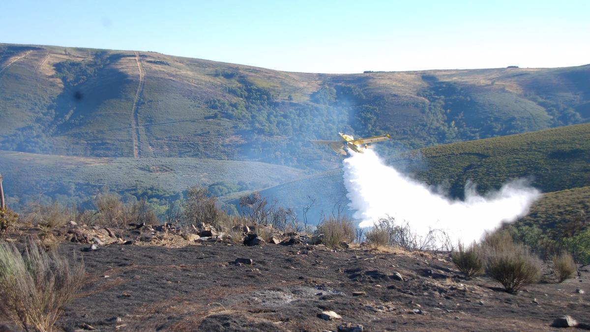 Extinción de un incendio forestal en San Ciprián de Hermisende.