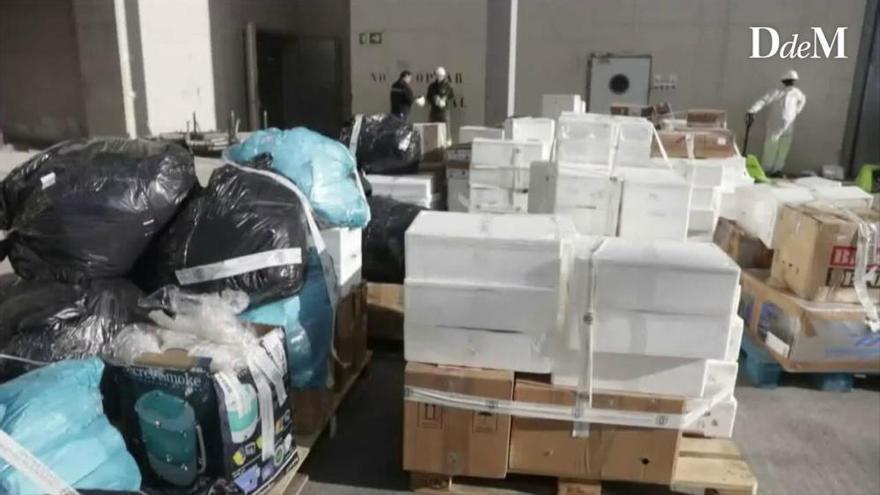 Hier vernichtet die Polizei auf Mallorca mehr als 600 Kilo Drogen