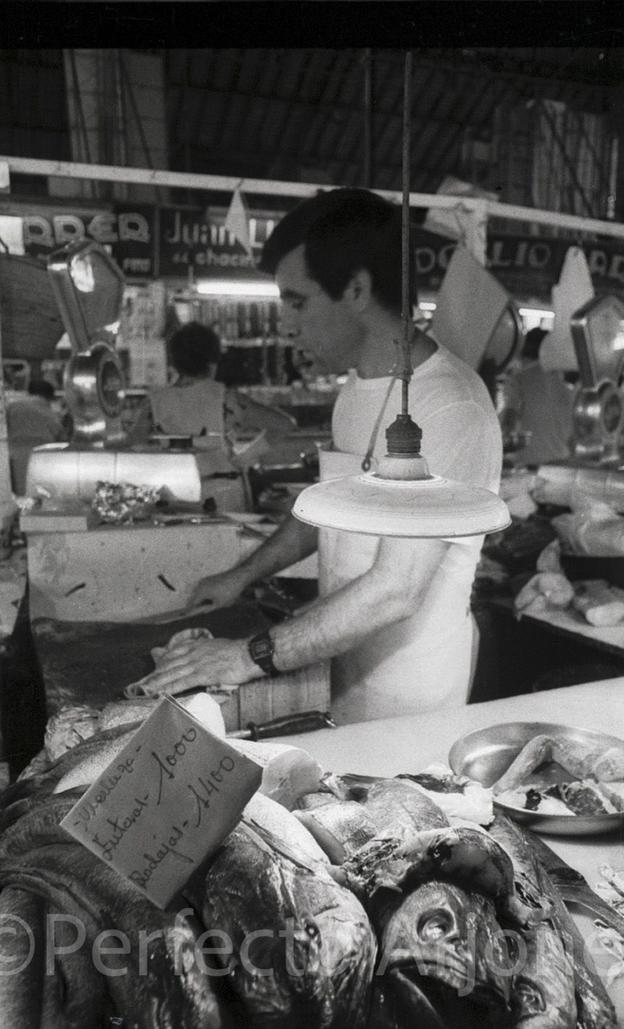 MERCADO CENTRAL.Pescado 87-10.jpg