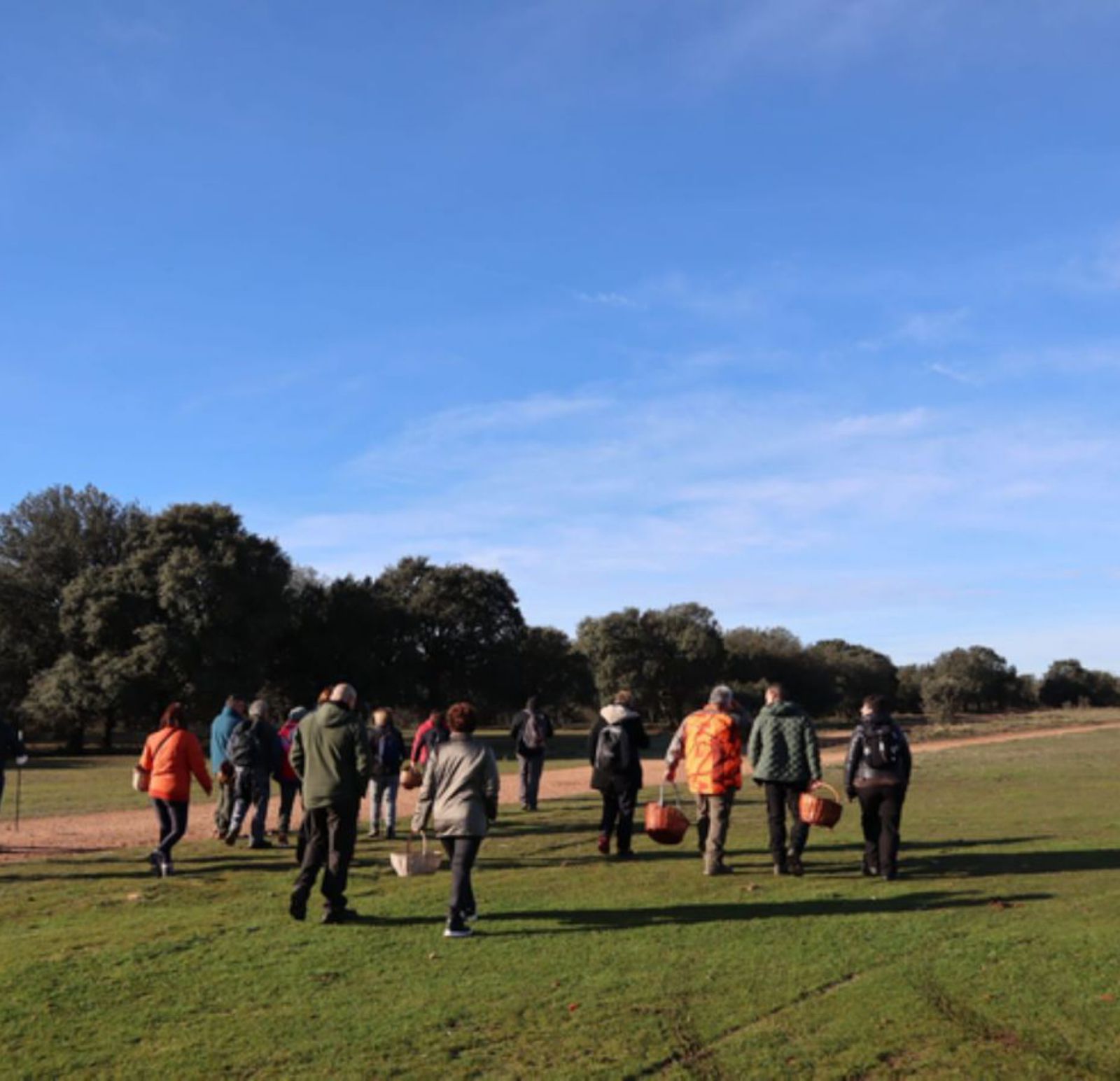 Salida al campo para disfrutar de una jornada micológica, con la participación de cuarenta personas. | E. P.