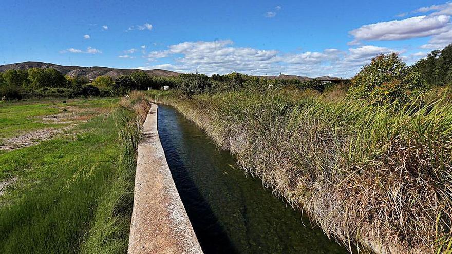 El entorno natural de Pedralba, junto al Túria.