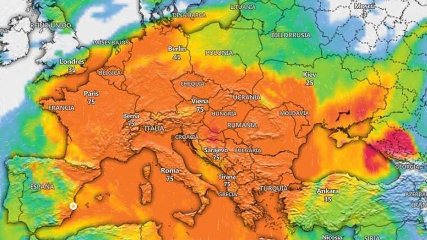 Una cresta de aire sahariano aumenta la presencia de polen de artemisa y se ceba con los alérgicos en Alicante