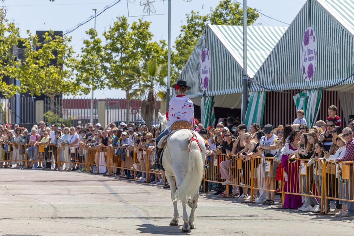 Desfile de carros y caballistas de la Feria de Mayo 2026 de Torrevieja este domingo