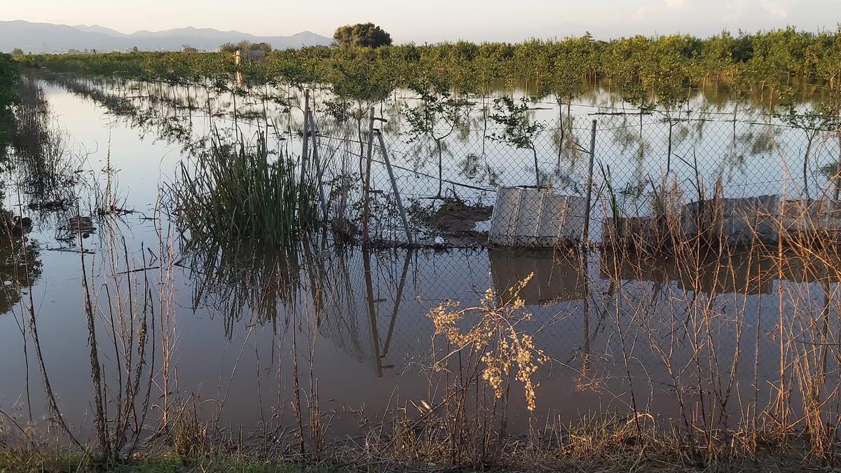 Imagen del estado en el que quedó un campo de Nules después de las lluvias torrenciales de los últimos días.