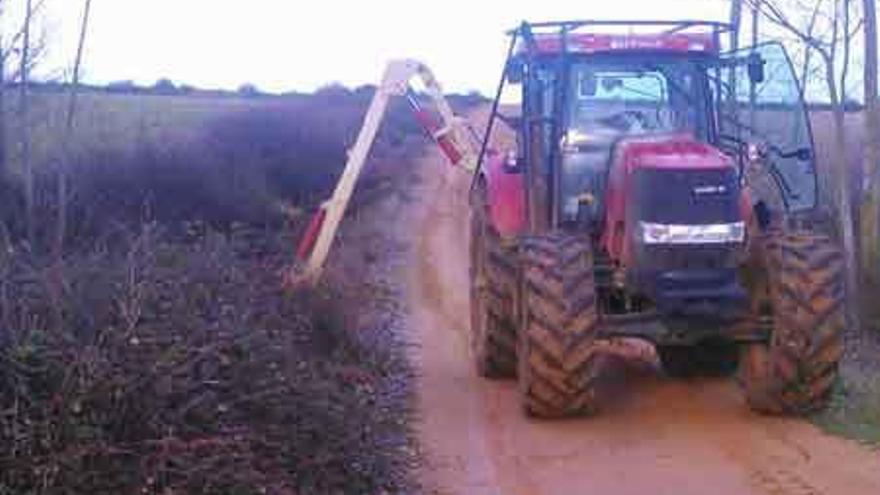 Una máquina trabaja en la limpieza de caminos rurales.