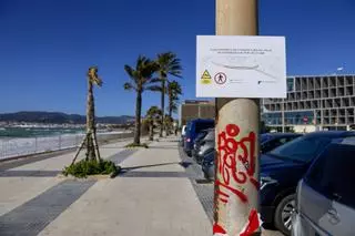 Temporal de viento en Palma