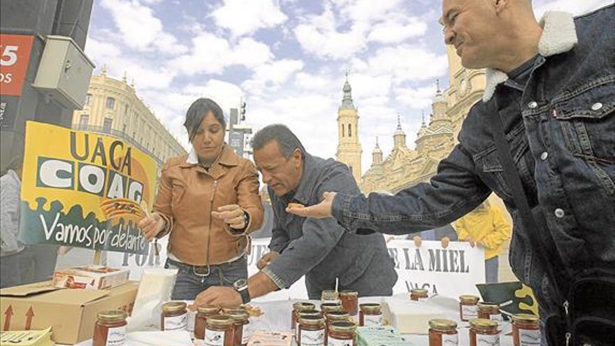 La cosecha de miel baja un 50% en Aragón por la sequía