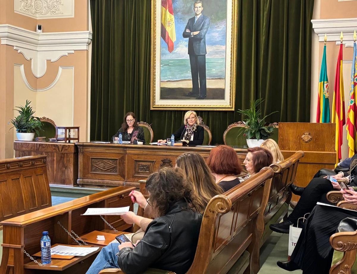 Consejo Municipal de Igualdad de Castelló.
