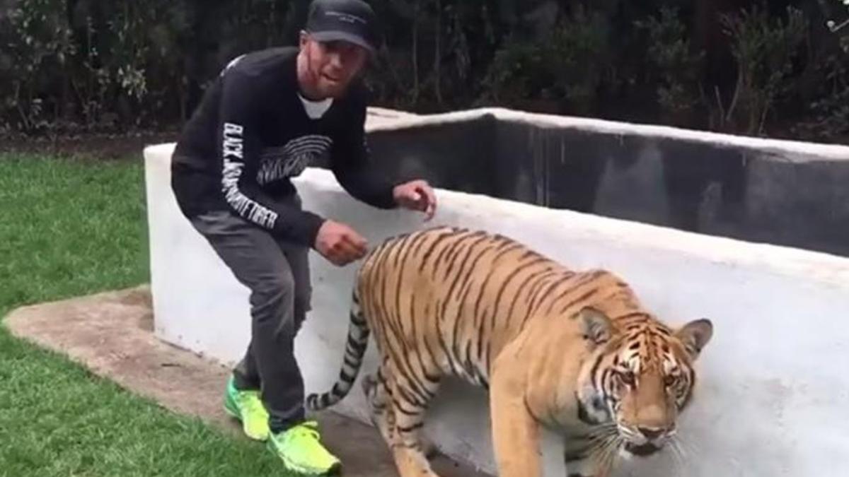 Hamilton asustó a un tigre