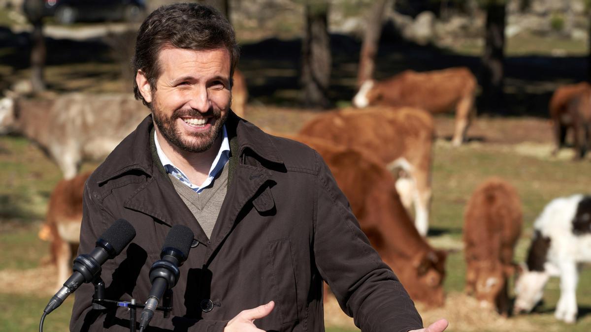 El líder del PP, Pablo Casado.