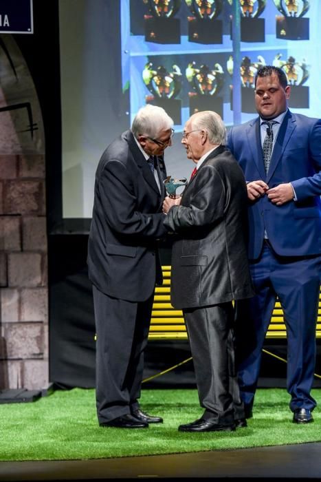 18-06-19 GENTE Y CULTURA. TEATRO GUINIGUADA. LAS PALMAS DE GRAN CANARIA. Asuntos Sociales. La ONCE Canarias entrega sus Premios Solidarios 2019. Fotos: Juan Castro.  | 19/06/2019 | Fotógrafo: Juan Carlos Castro