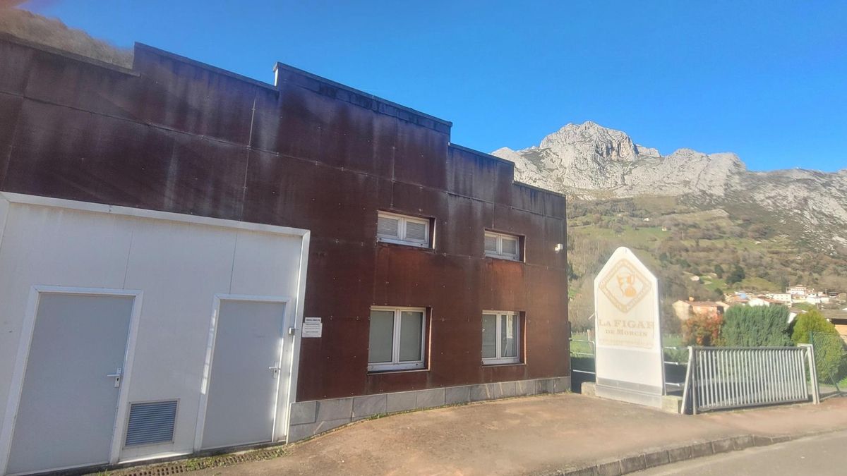 Las instalaciones de la antigua quesería La Figar, que han sido adquiridas por Alimerka. | F. D.