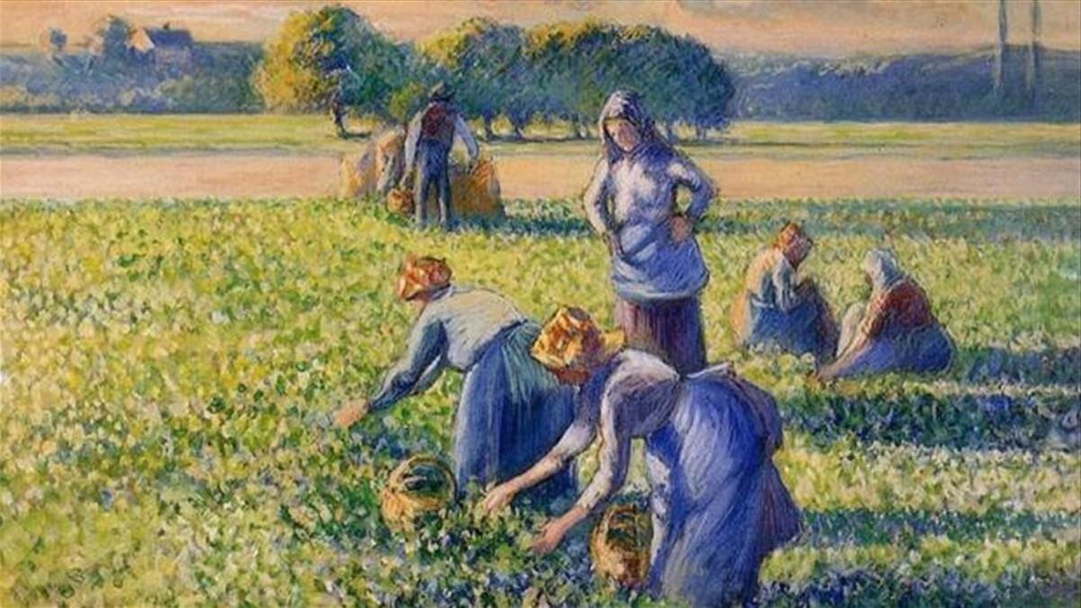 El cuadro reclamado, 'La cosecha de guisantes, de Camille Pissarro.