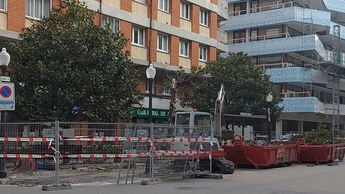 Renovación del arbolado en la calle Ezcurdia.