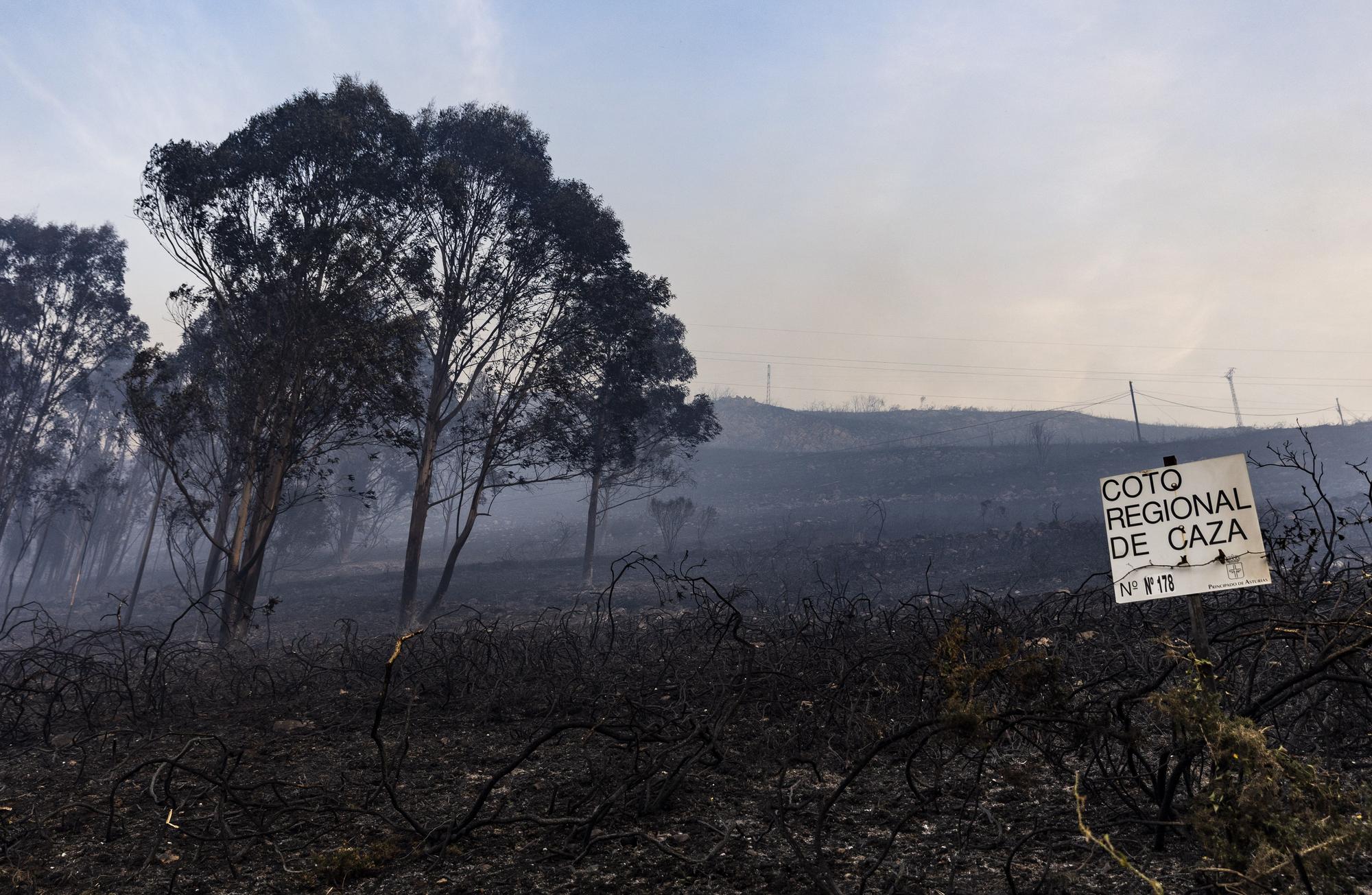 Los bomberos trabajan en el monte Naranco contra las llamas