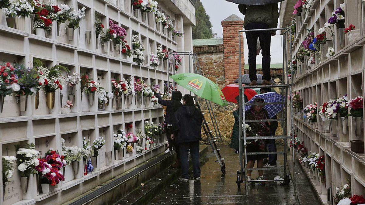 Familiares de difuntos colocando flores en el cementerio del Salvador de Oviedo.