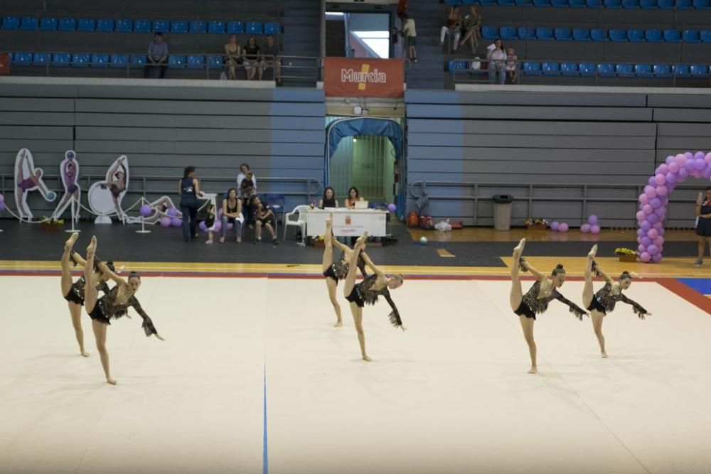 Clausura de la temporada del Gymnos 85