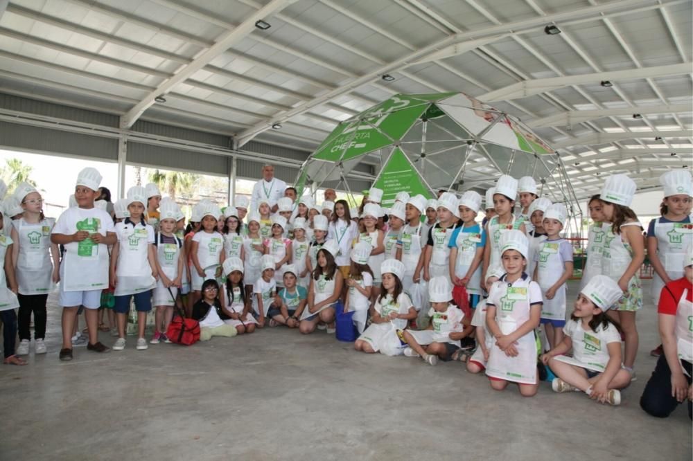 Concurso infantil de cocina de Fecoam