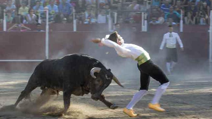 Un momento de la exhibición de cortes, quiebros y saltos en la plaza de toros de San Cristóbal de Entreviñas.