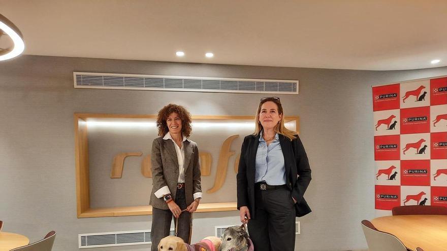 Renfe permitirá viajar con perros de hasta 40 kilos en sus trenes de Galicia desde el 21 de julio: en ventanilla, con correa corta y bozal