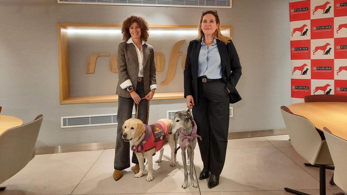 Acuerdo de Renfe y Purina en 2022 para los viajes de perros en tren