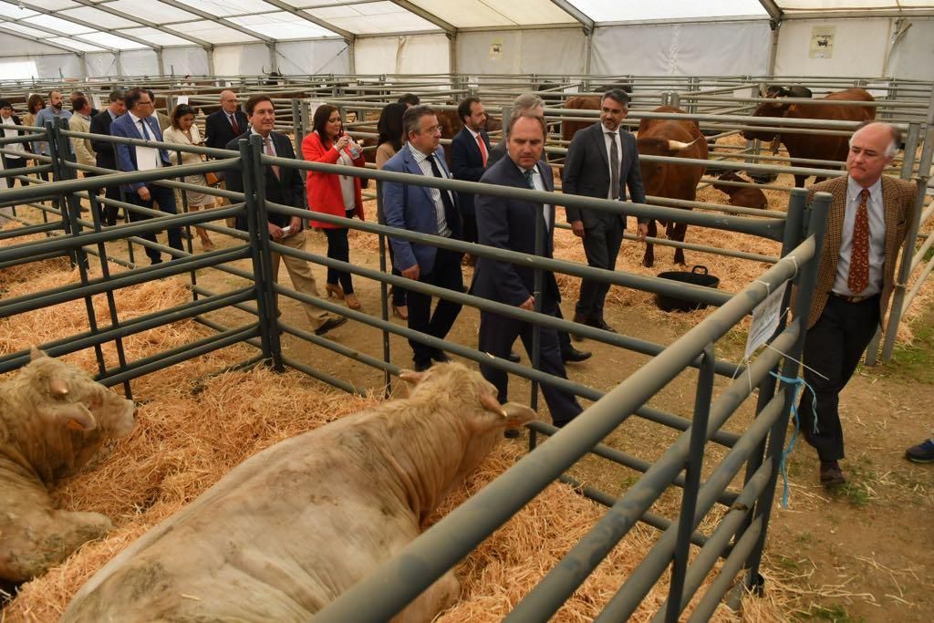 Arranca la Feria Agroganadera de Los Pedroches