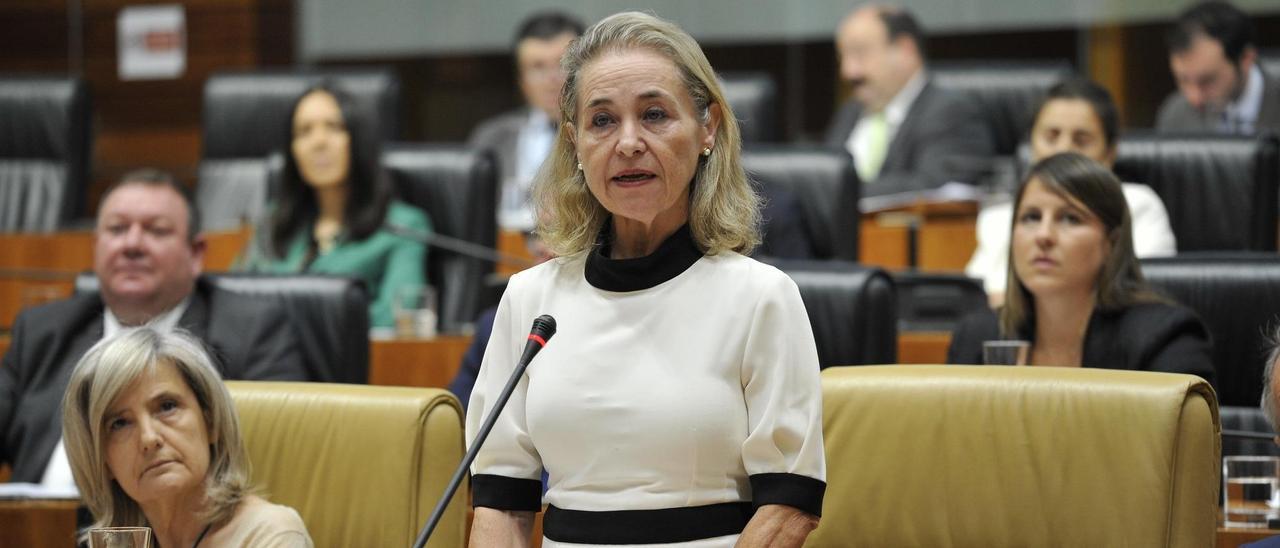 La consejera de Eduación, Mercedes Vaquera, en el pleno de la Asamblea.