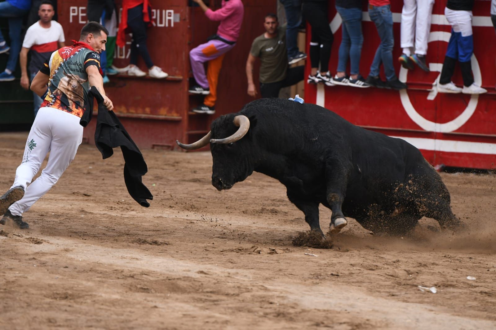 Exhibición de cuatro toros de Partida Resina en Onda