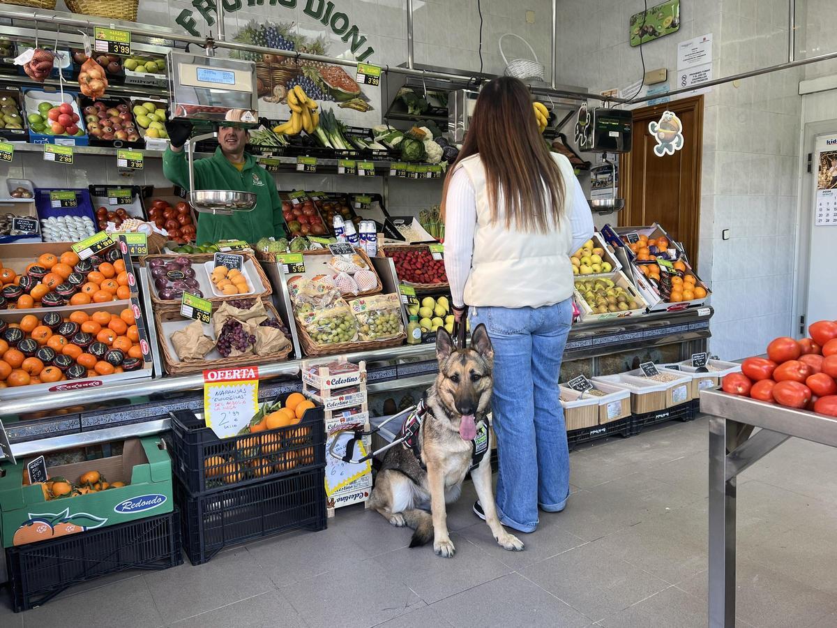 Un perro guía, en una frutería.